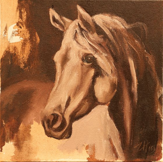 Equine Head Arab Chestnut (study 26)