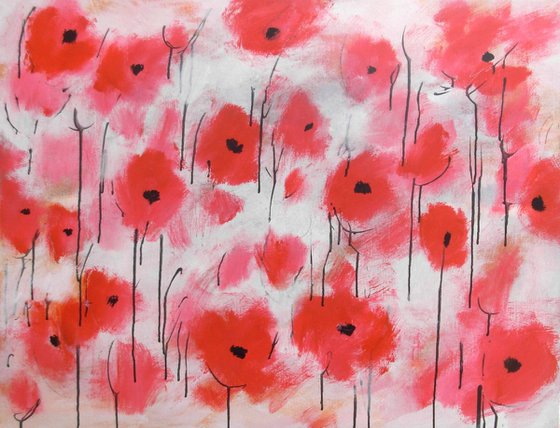 Poppies