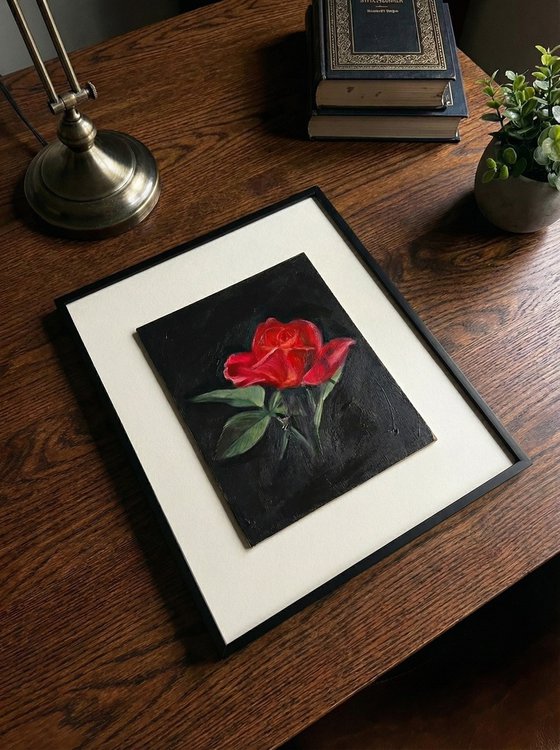 Crimson Study: Red Rose Oil on Gesso Board