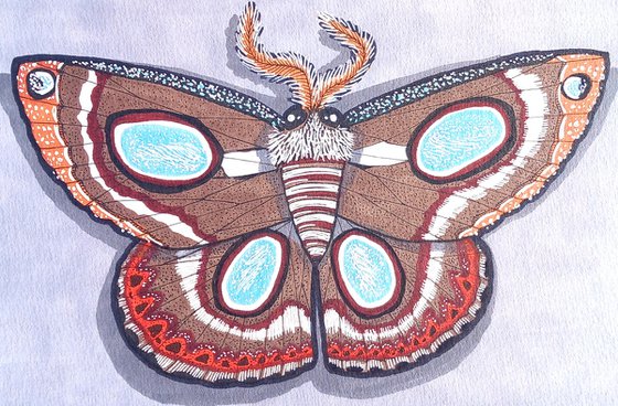 Little Moth