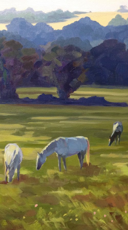 Horses at Sunset by Dawn Harries