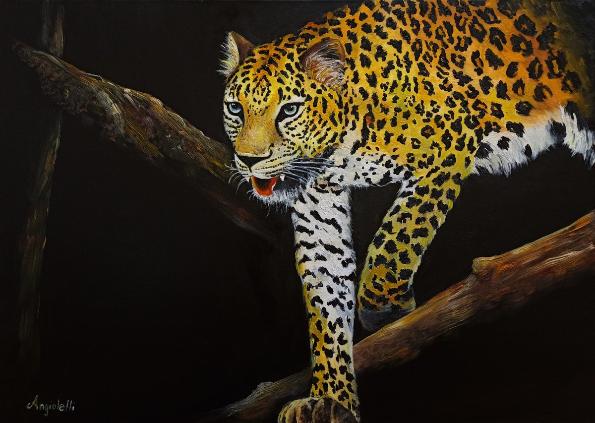 Panthera pardus by Anna Rita Angiolelli