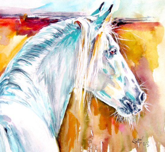 Andalusian horse collection