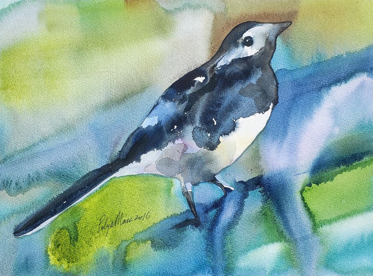 Magpie bird by Polina Morgan