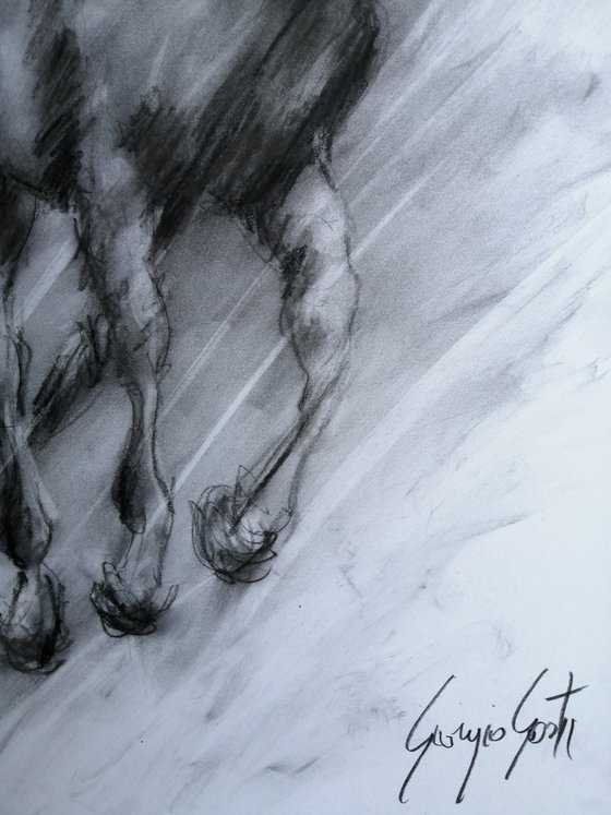 horses 22