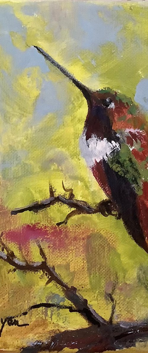 Hummingbird by Lia Matevosyan Haselton