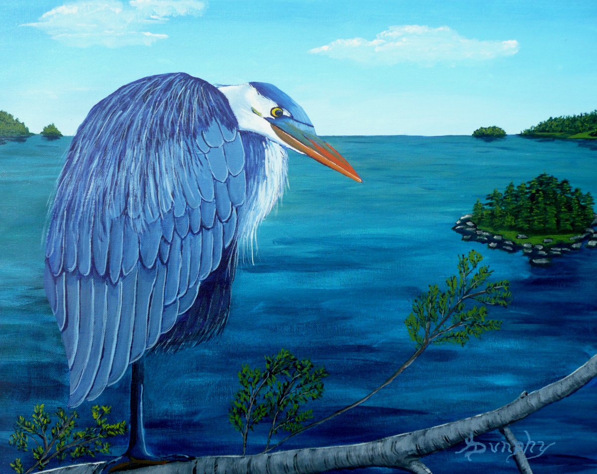 Great Blue Heron by Dunphy Fine Art