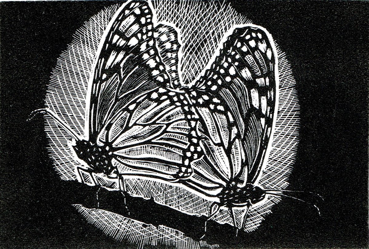 Animal Etchings & Engravings By Rebecca Coleman, 9 X 9", Amorous Monarchs, Original Artwork