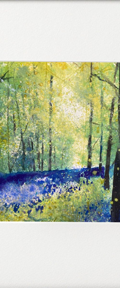 Woodland Bluebell View by Teresa Tanner