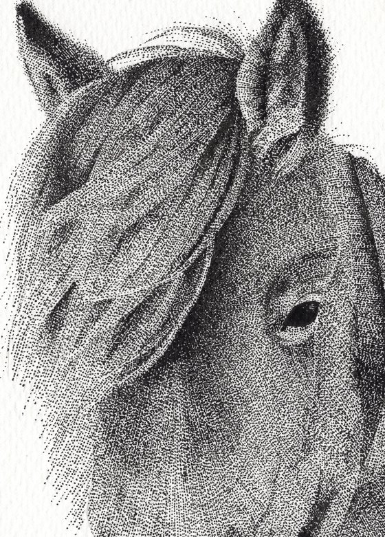 Dartmoor Pony - Original Stippling Illustration