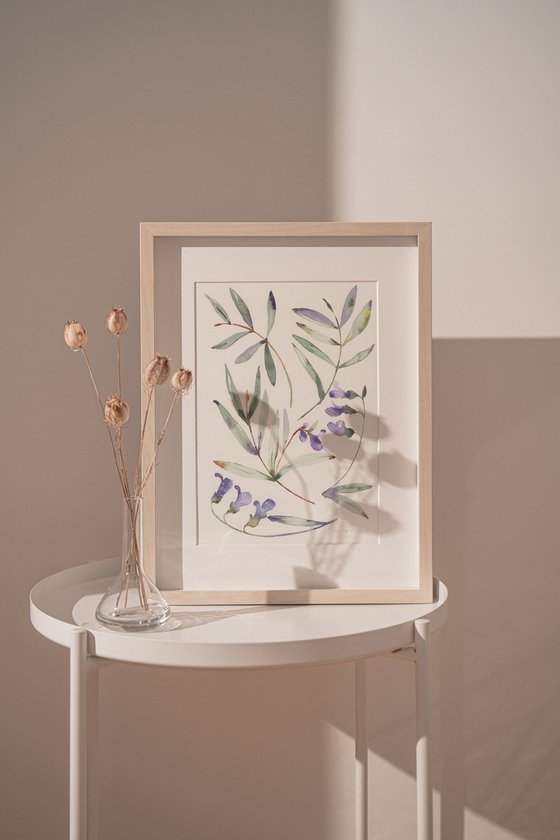 Dusty purple meadow flowers with green leaves