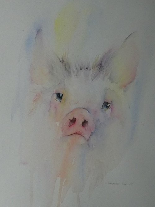 Rainbow Pig by Seonaid Parnell
