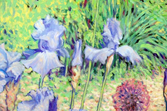 Irises dancing in the sun