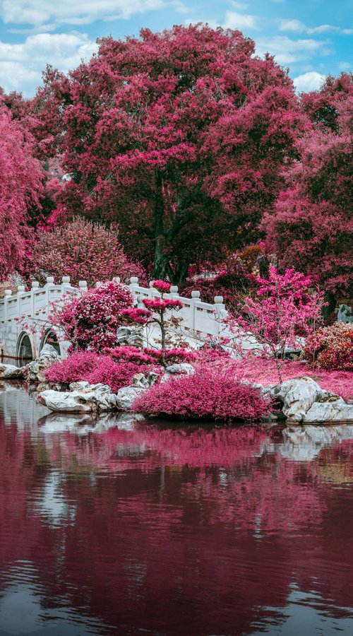 ZEN GARDEN II by Harv Greenberg