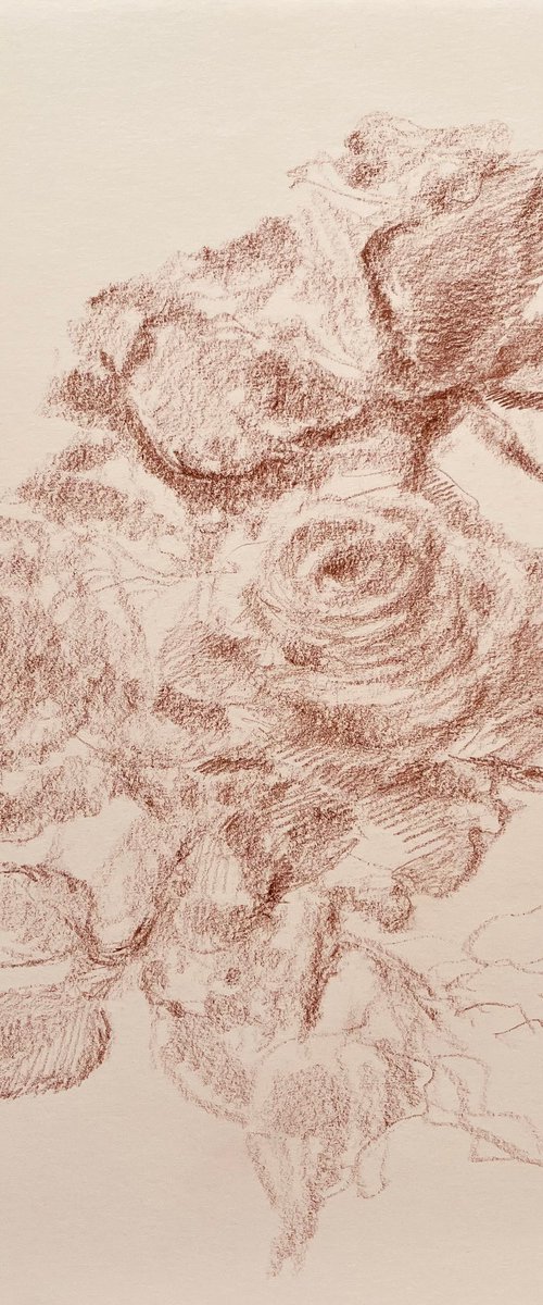 Roses #11. Original pencil drawing by Yury Klyan