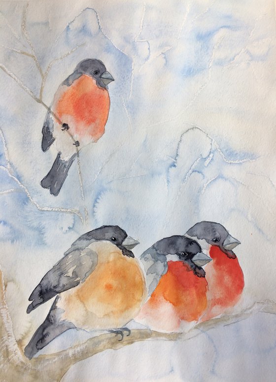 Bullfinches