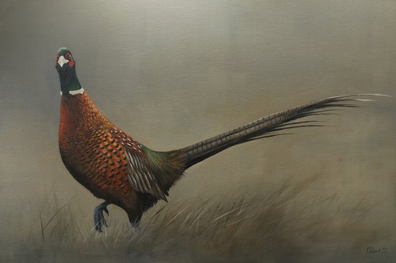 Pheasant, Animal Painting, Bird Artwork, Framed Art, Garden Animals, Original not Print, Gun Dog, Hunting