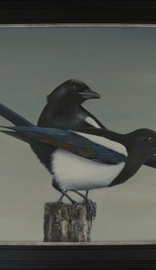 Two for Joy- Magpies by Alex Jabore