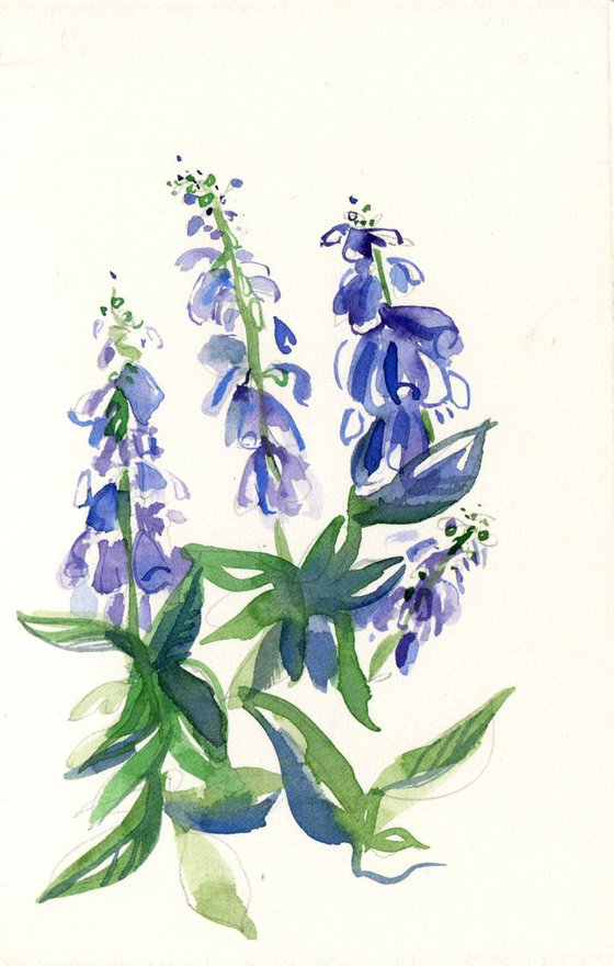 Digitalis