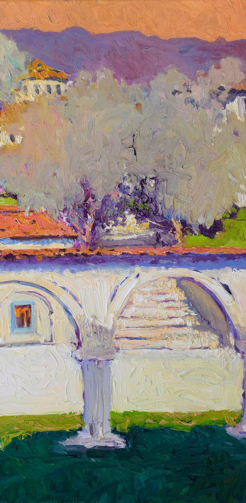 Revival Homes of Old Los Angeles by Suren Nersisyan