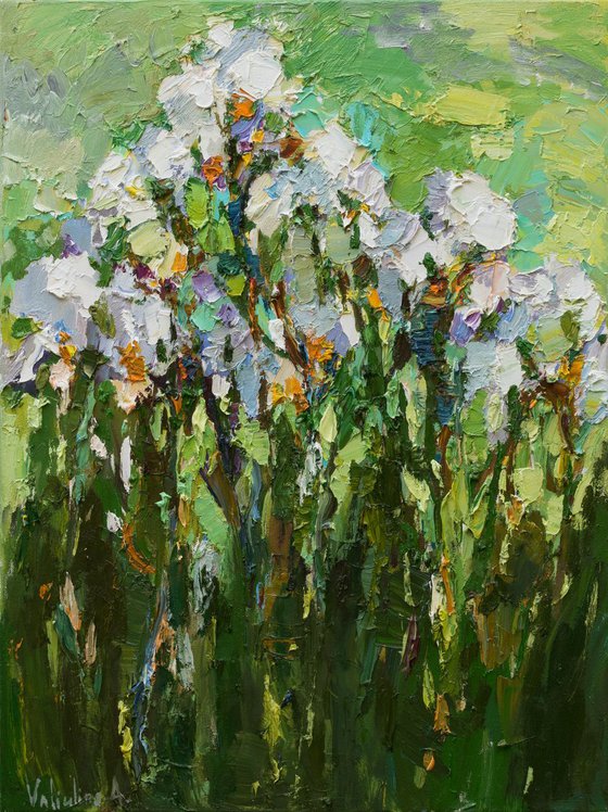 Irises - Original oil painting