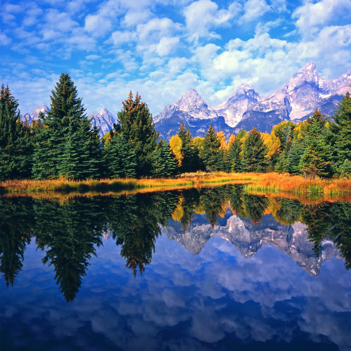Photorealistic Landscape Photograph By Alex Cassels, 24 X 24, Grand Teton Reflections, Original Artwork