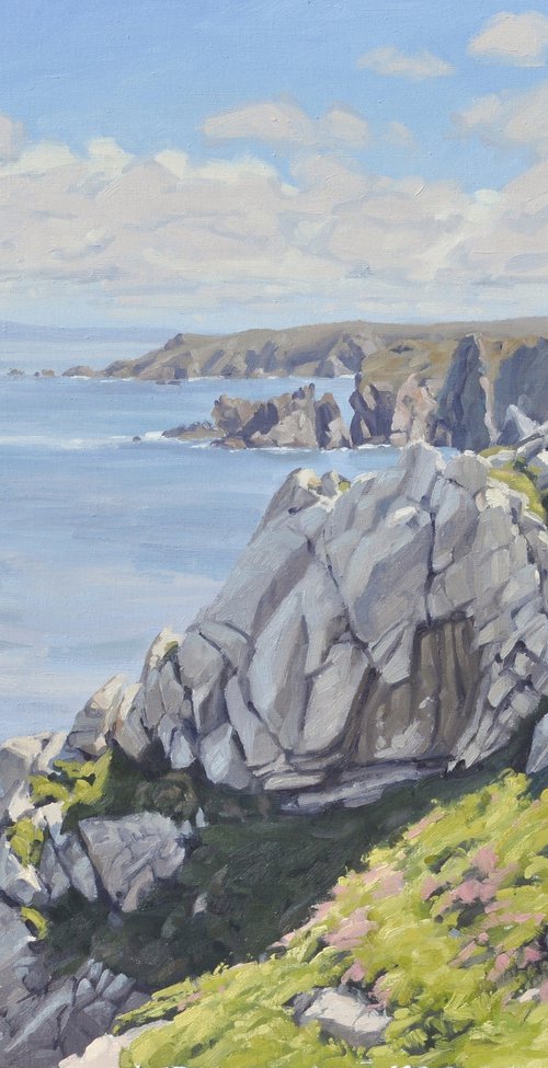 Cliffs at the Cap Sizun by ANNE BAUDEQUIN