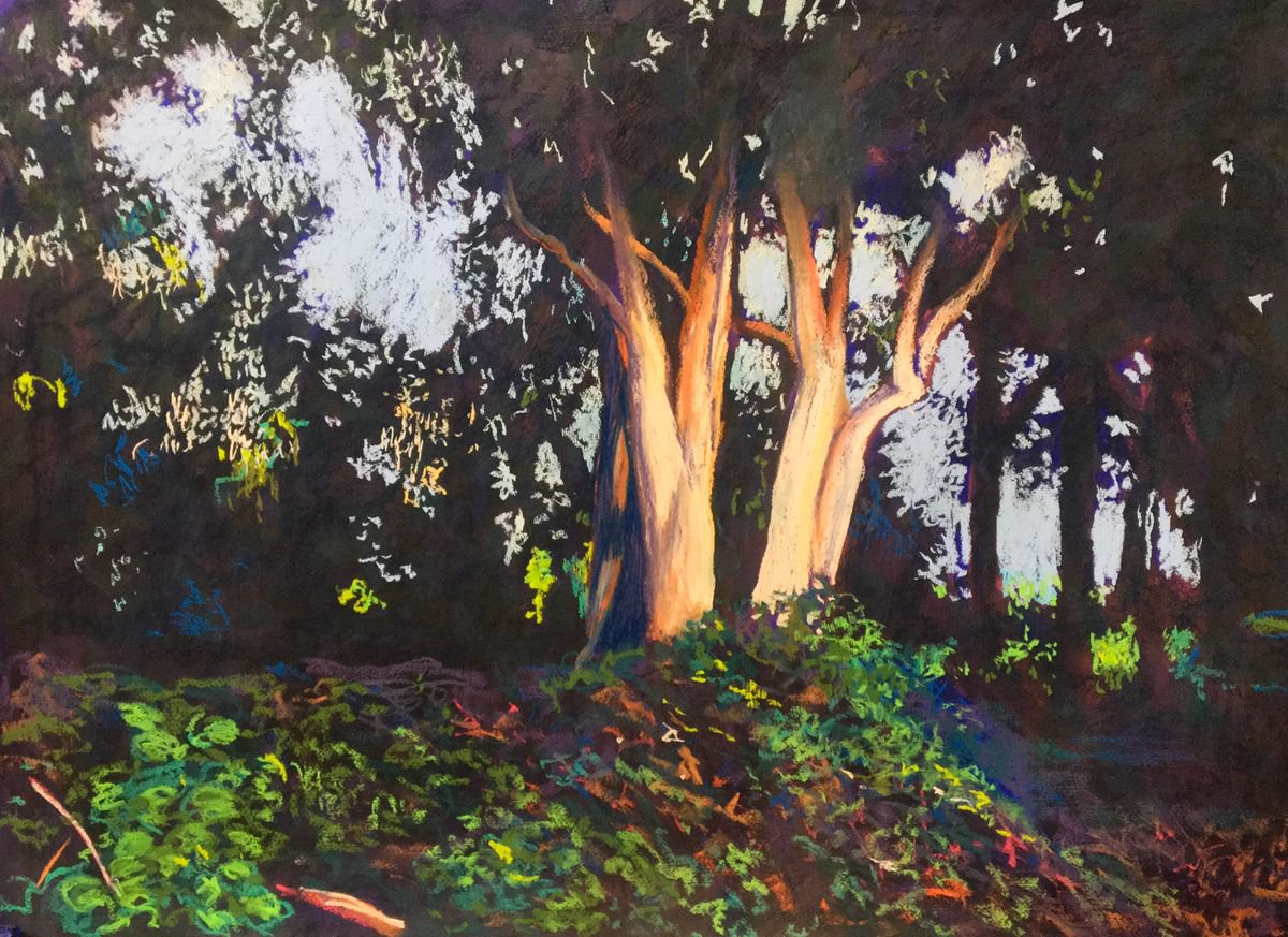 Impressionistic Landscape Pastel Drawing By John Cottee, 28 X 20, A Patch Of Sun, Original Artwork