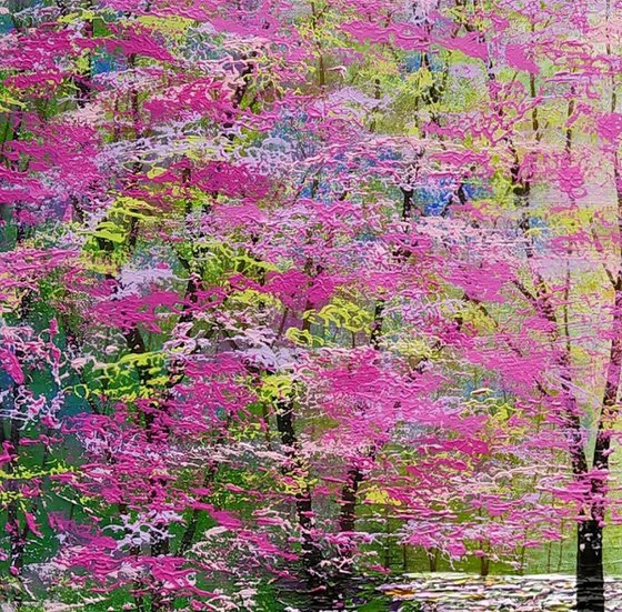 Spring Lights