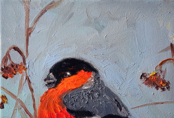 Original oil painting Bird Bullfinch