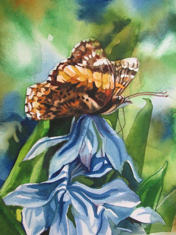 butterfly with scilla