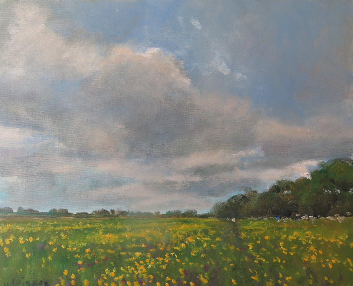 Buttercup Meadow, June 4 by Malcolm Ludvigsen
