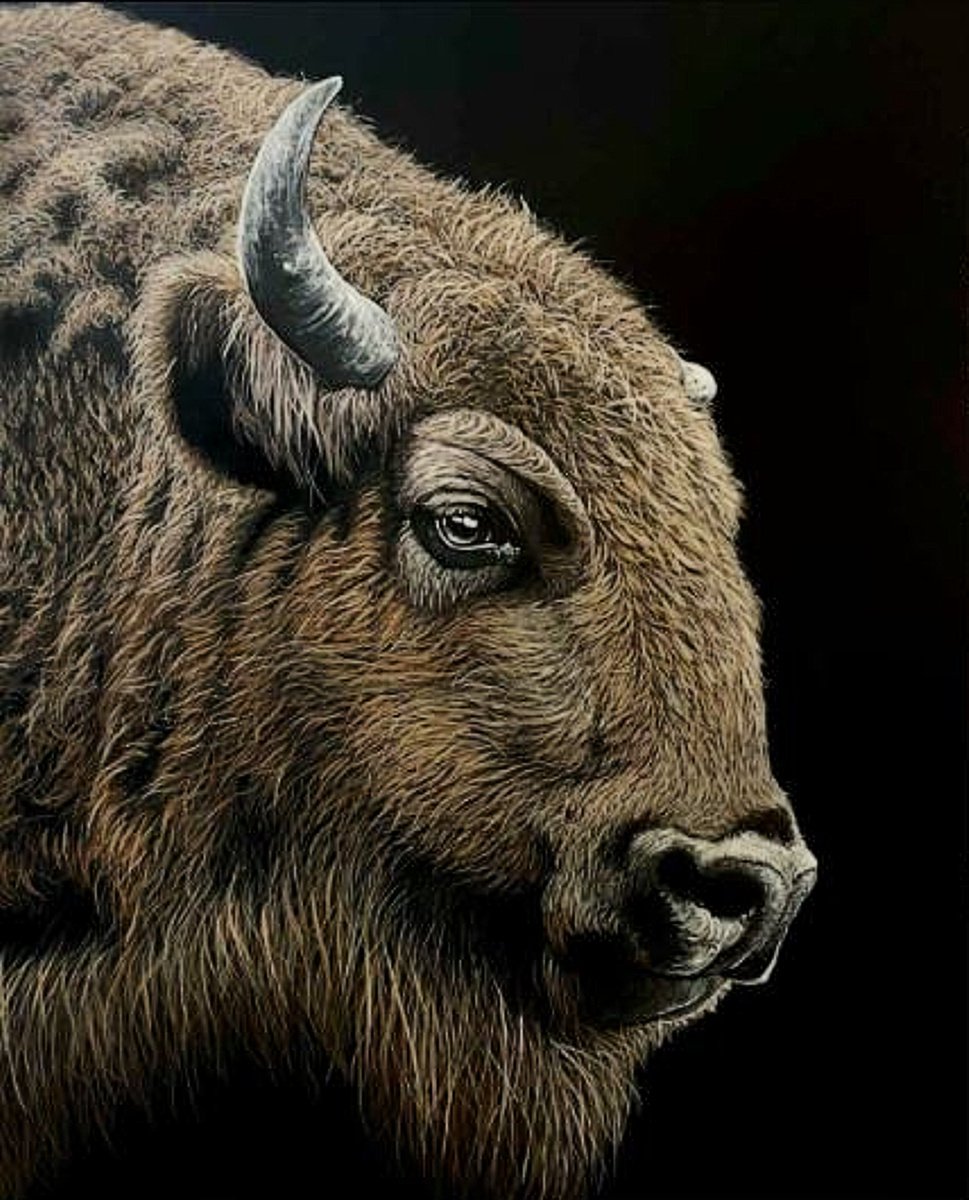 Photorealistic Oil Painting , Bizon /Buffalo By Elena Adele Dmitrenko, 32 X 39, Artwork For Sale On Artfinder