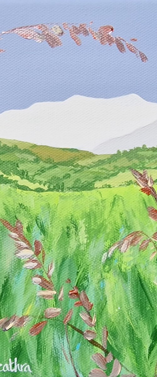 Summertime, Blencathra by Sam Martin