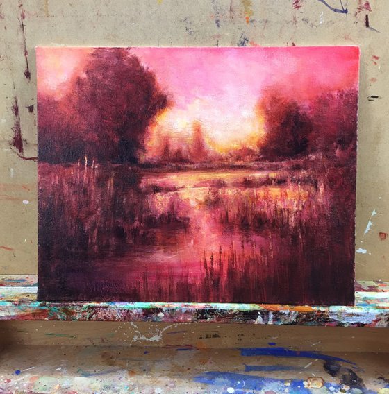 Marsh Sunrise 11x14 inches