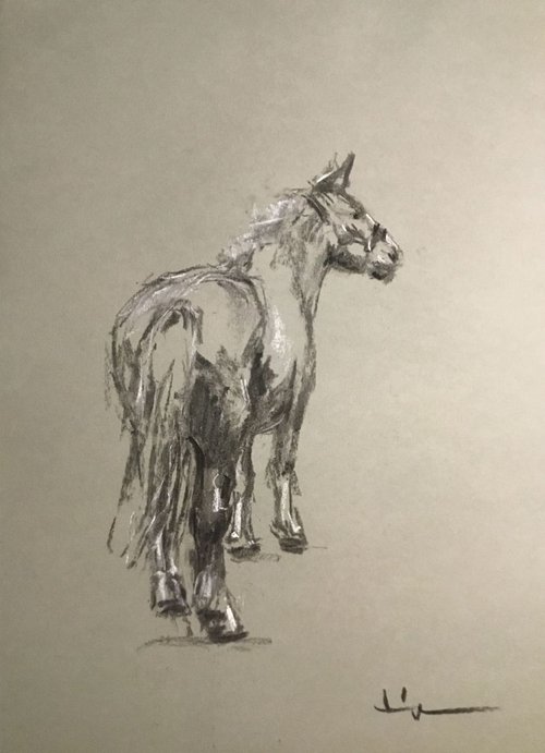 Horse Study 5 by Dominique Dève