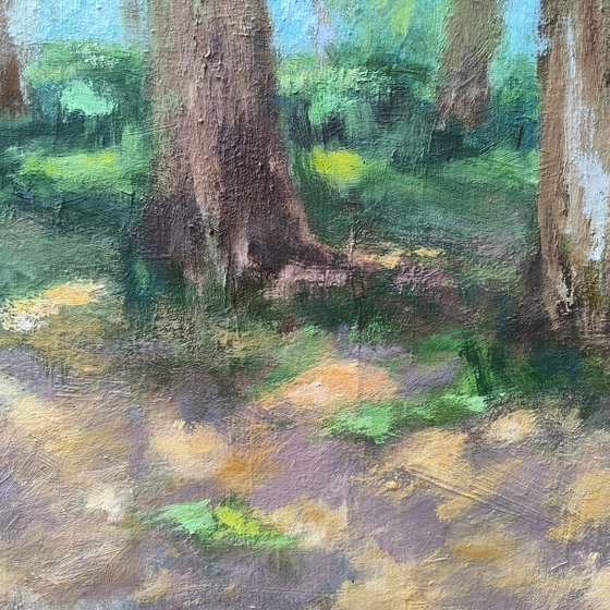 Linden alley. Summer