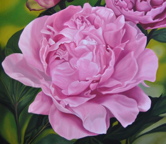 Peonies painting