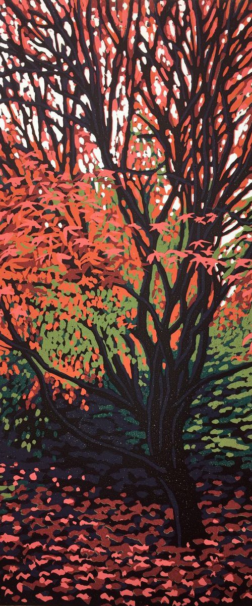 Autumn Acer by Alexandra Buckle