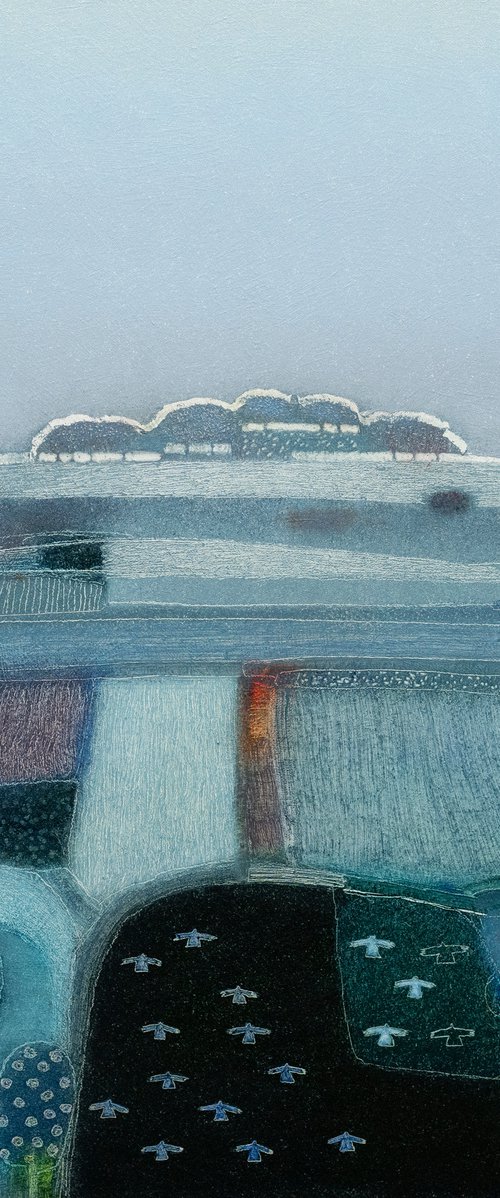The nature of daylight by Rob   van Hoek