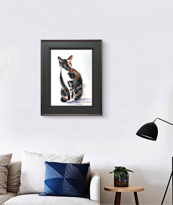 Black White Orange Cat