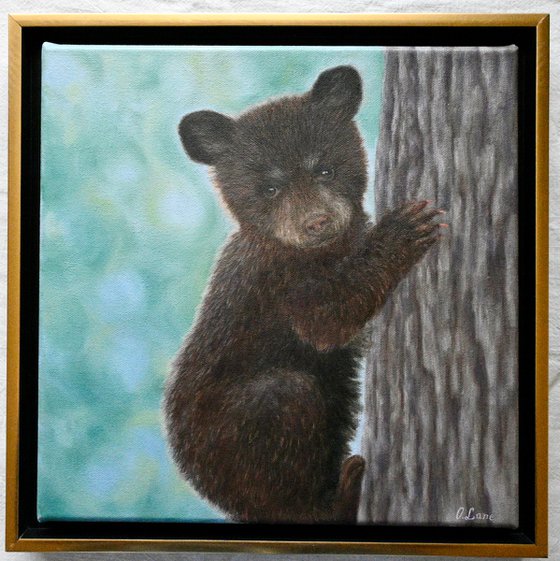Bear Cub