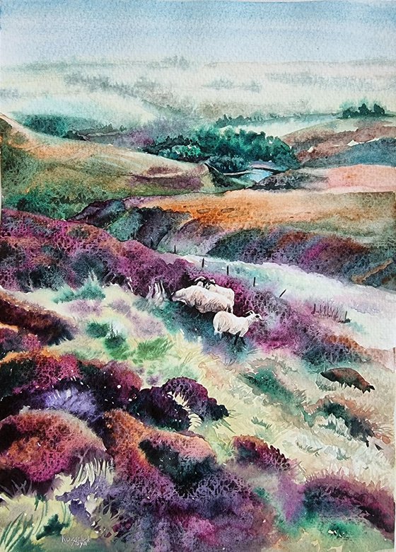 Landscape. Sheep.