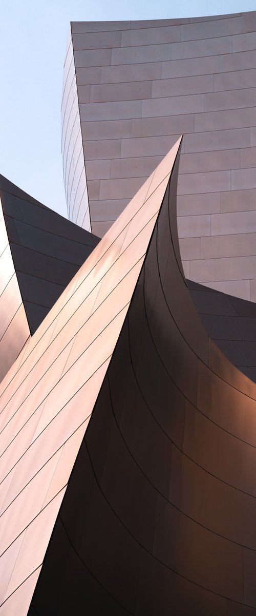 Contortion by Brandon LeValley