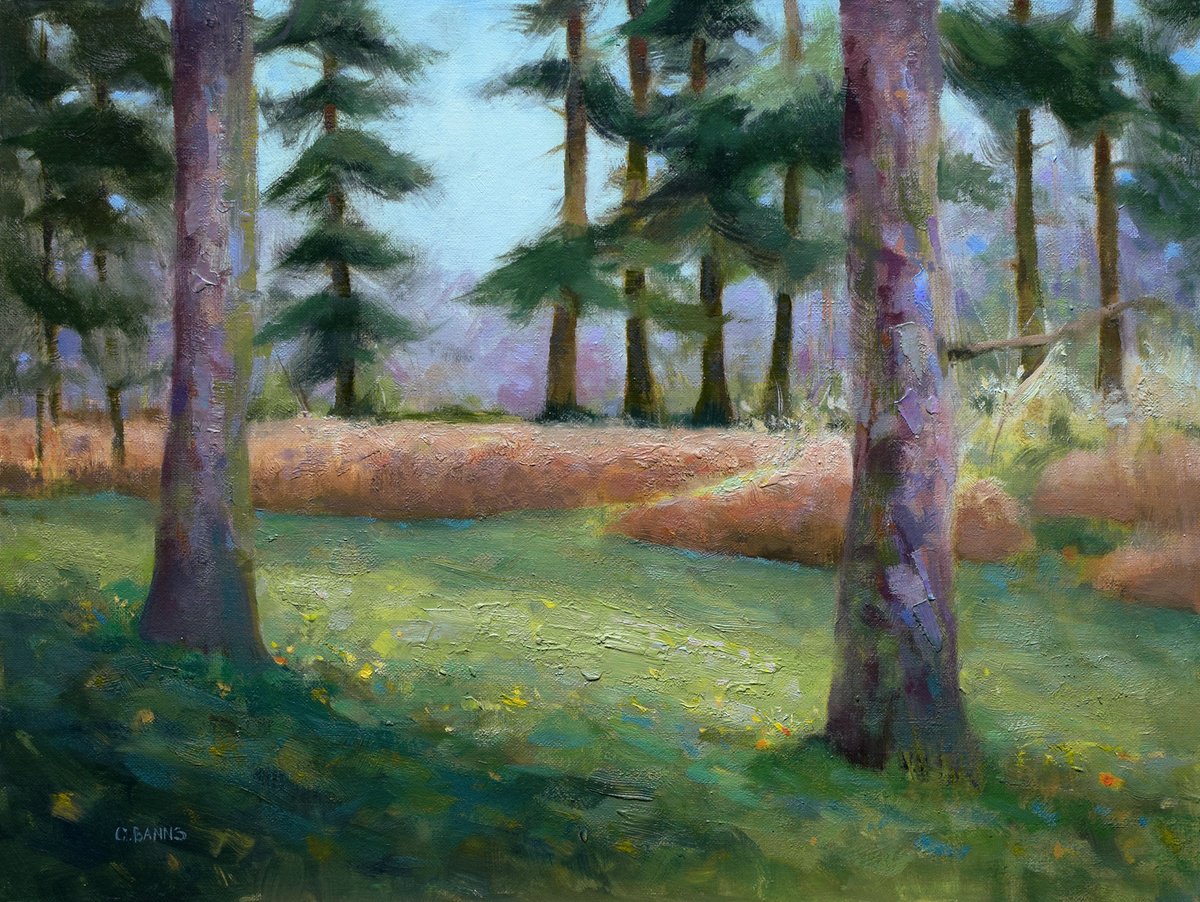 Impressionist Pine tree forest grass and bracken by Gav Banns