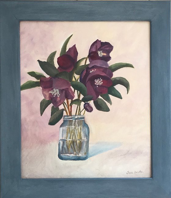 Hellebores in Oil