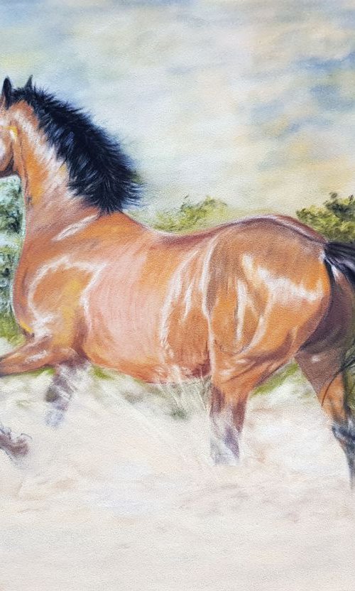 Pastel realism realistic painting on velour ,,HORSE '' by Deimante Bruzguliene