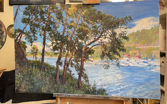 Pines on the island