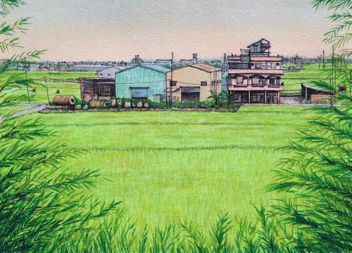 Watering Ricefields at Dawn, Yilan by David Lloyd