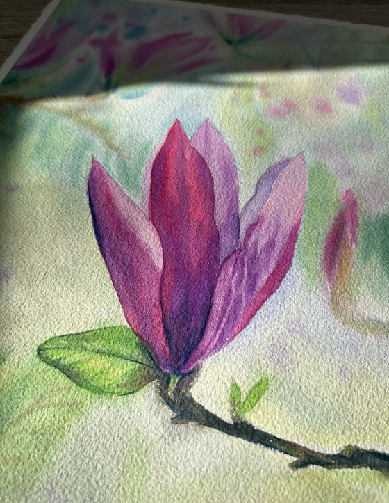 Blooming Pink Magnolia